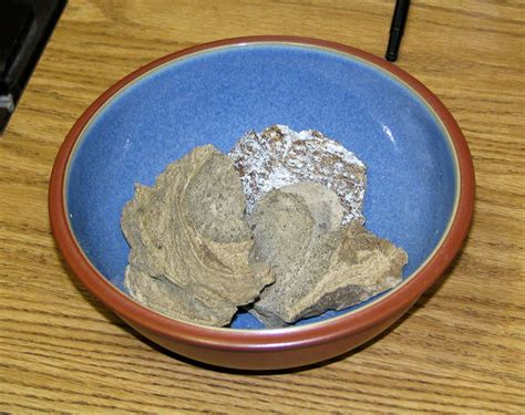 Why Is ‘Whale Vomit’ So Valuable That It Sells for $50,000 per .
